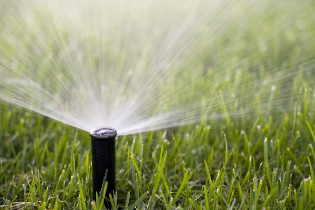 A grass roots solution to air pollution.