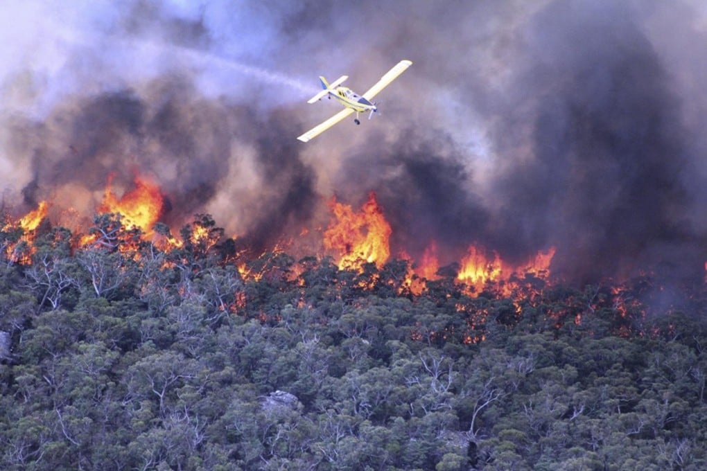 A plane dumps water on a fire in the Grampian Ranges west of Melbourne. There were reports of birds falling out of the sky. Photos: EPA