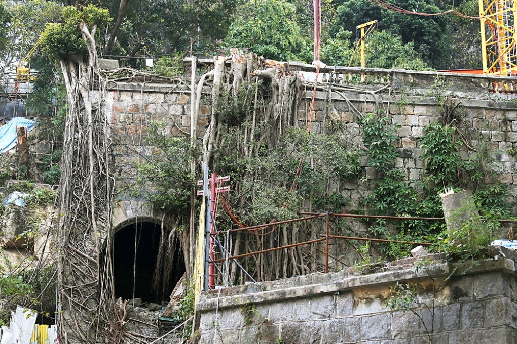 The banyan tree at Ship Street has been cleared as it stood in the way of a HK$5 billion development. Photo: K.Y. Cheng