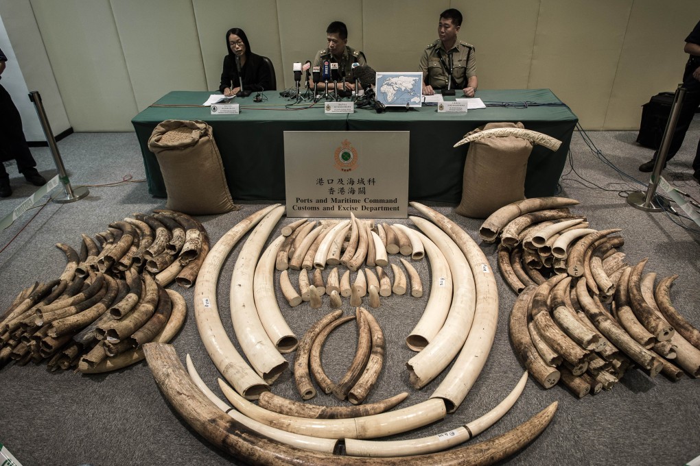 Destruction of illegal ivory the right policy for Hong Kong