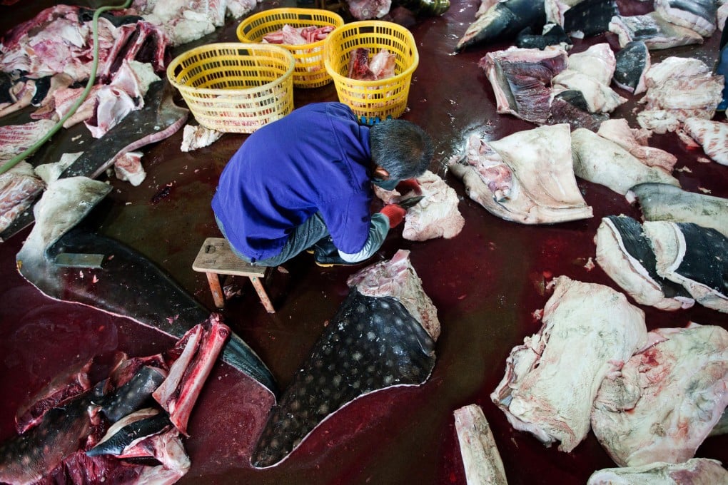 A worker slices up shark meat at the factory, where the amount of fins is described as "phenomenal". Photo: Hilton/Hofford for WildLifeRisk