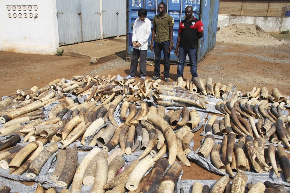 The accused stand beside the ivory seized in Lome.Photo: Reuters