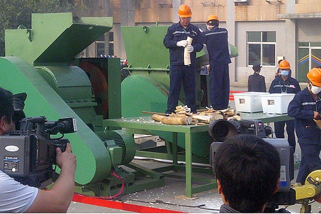 Dongguan authorities destroy 6 tonnes of confiscated ivory on January 6. Photo: Mimi Lau