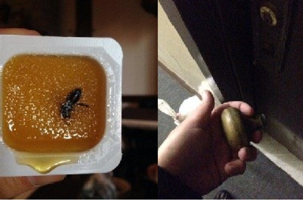 Insects in food and broken door knobs have only been some of the problems facing journalists staying in Sochi hotels for the Olympics. Photo: SCMP Pictures