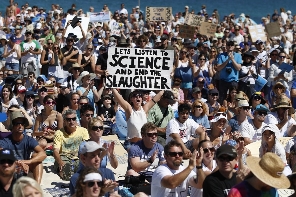 Protesters gather on Cottesloe beach in Perth, Western Australia, to condemn the cull of sharks being carried out in the face of a rising number of attacks. Photo: EPA