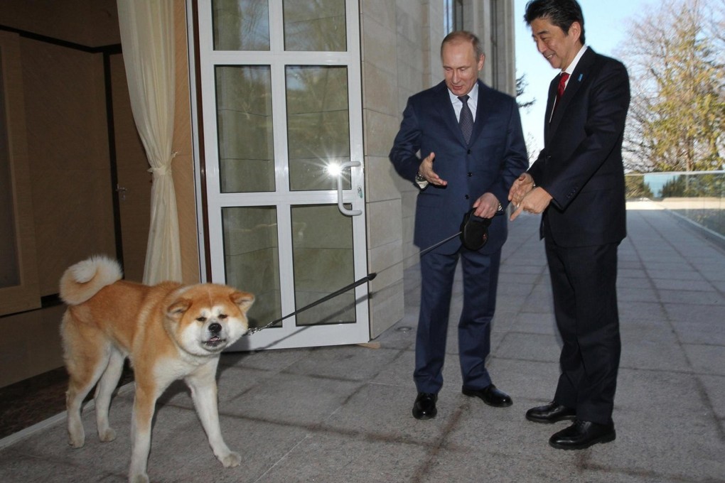 When called to meet Japanese Prime Minister Shinzo Abe, the Akita initially defied her master's orders, pulling hard on her lead and snarling.