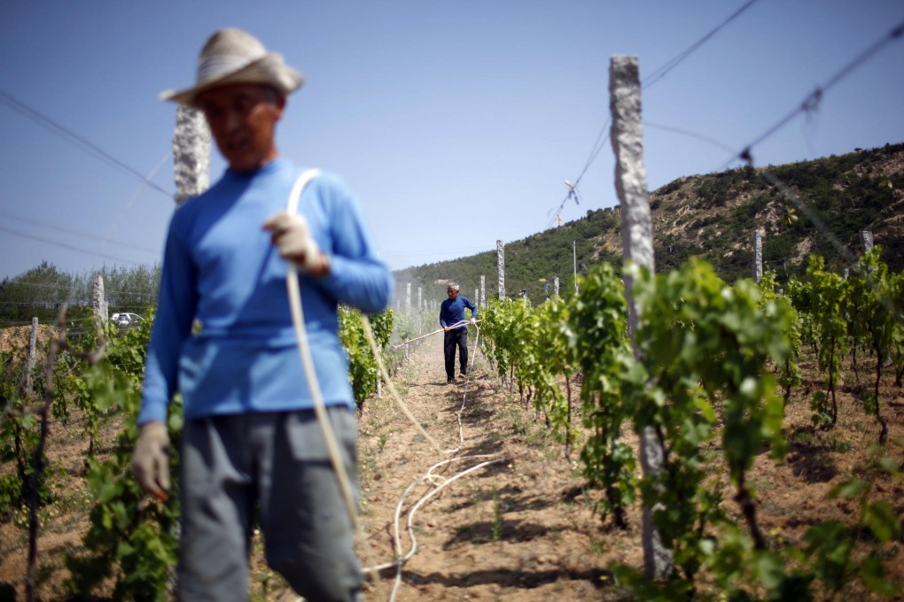 Putting Chinese wine on the map