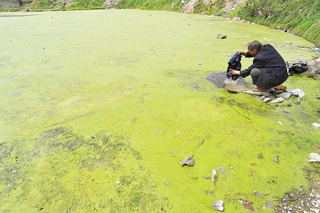 Industrial contamination of water and soil, together with the overuse of pesticides and fertiliser, has caused severe environmental problems in the Chinese countryside. Photo: Reuters