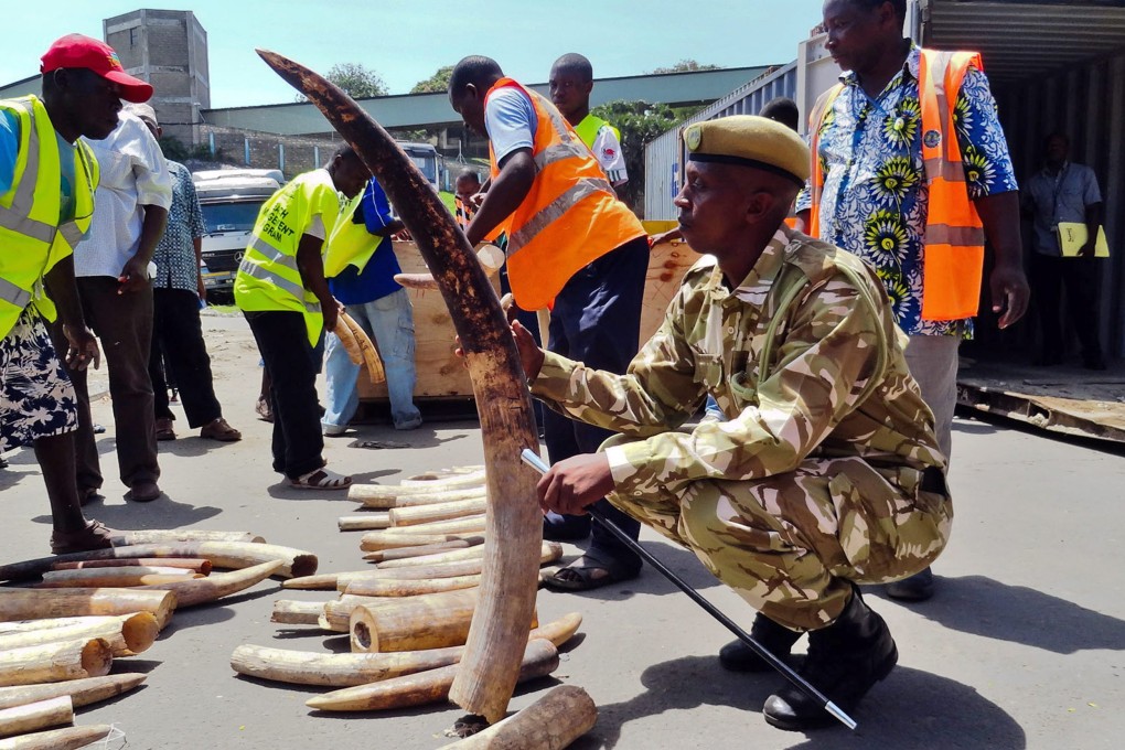File photo of Kenya wildlife officers inspecting ivory confiscated from traffickers. A suspected Chinese ivory smuggler has been apprehended in Kenya and extradited. Photo: EPA