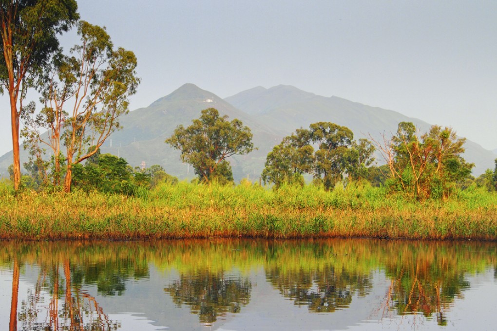 Trees, grass and hills are reflected in a body of water in Nam Sang Wai in Hong Kong. Photo: Martin Williams