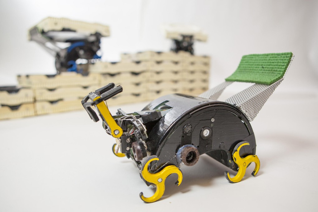 Construction robots of the future may be inspired by termites and the distributed intelligence they use to build. Photo: Washington Post