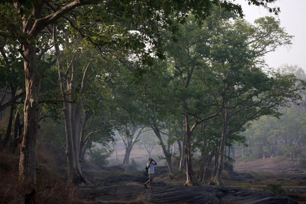 Shergarh Tented Camp, a place for safaris, is a serene experience