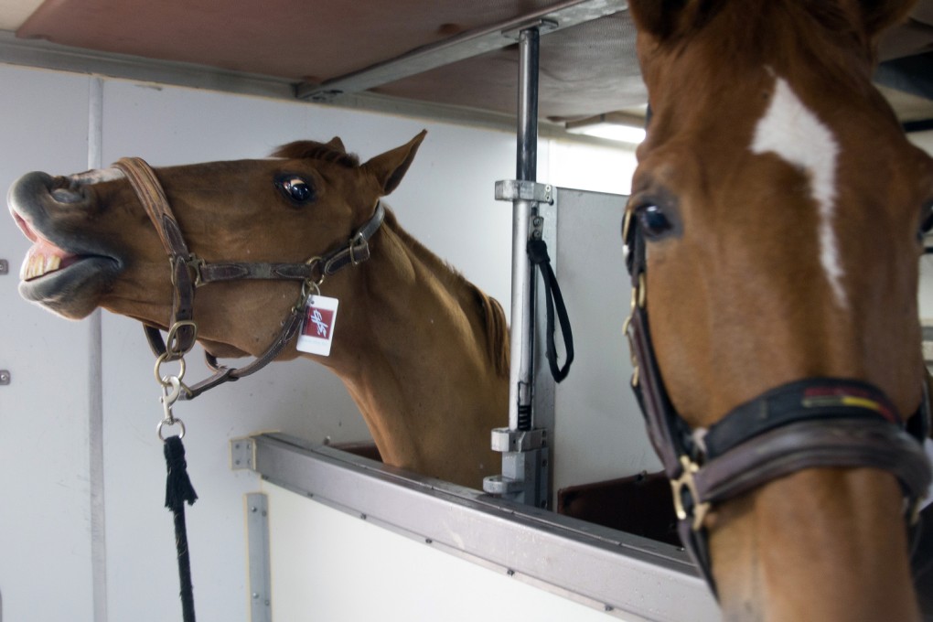 Horses arrive in Hong Kong for Longines Hong Kong Masters.