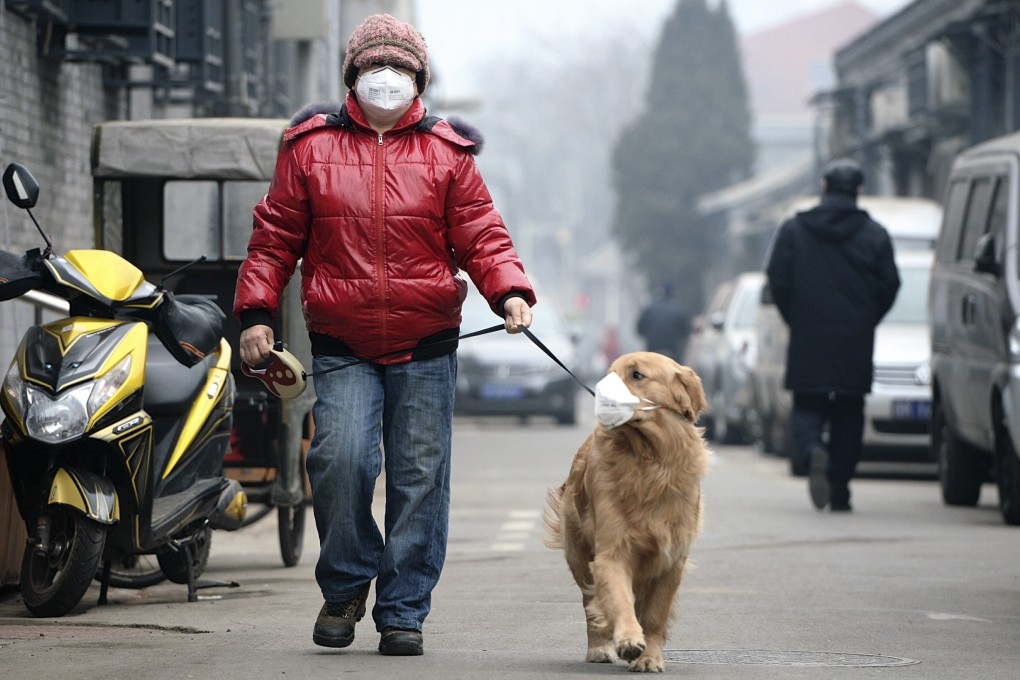 It’s only fair that your best friend is also protected when you go for a stroll on a hazy afternoon in Beijing. Photo: Reuters