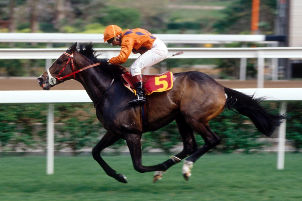The body of River Verdon, who is still the only winner of the Hong Kong Triple Crown, is one of the prized displays at the Hong Kong Racing Museum. Photo: SCMP