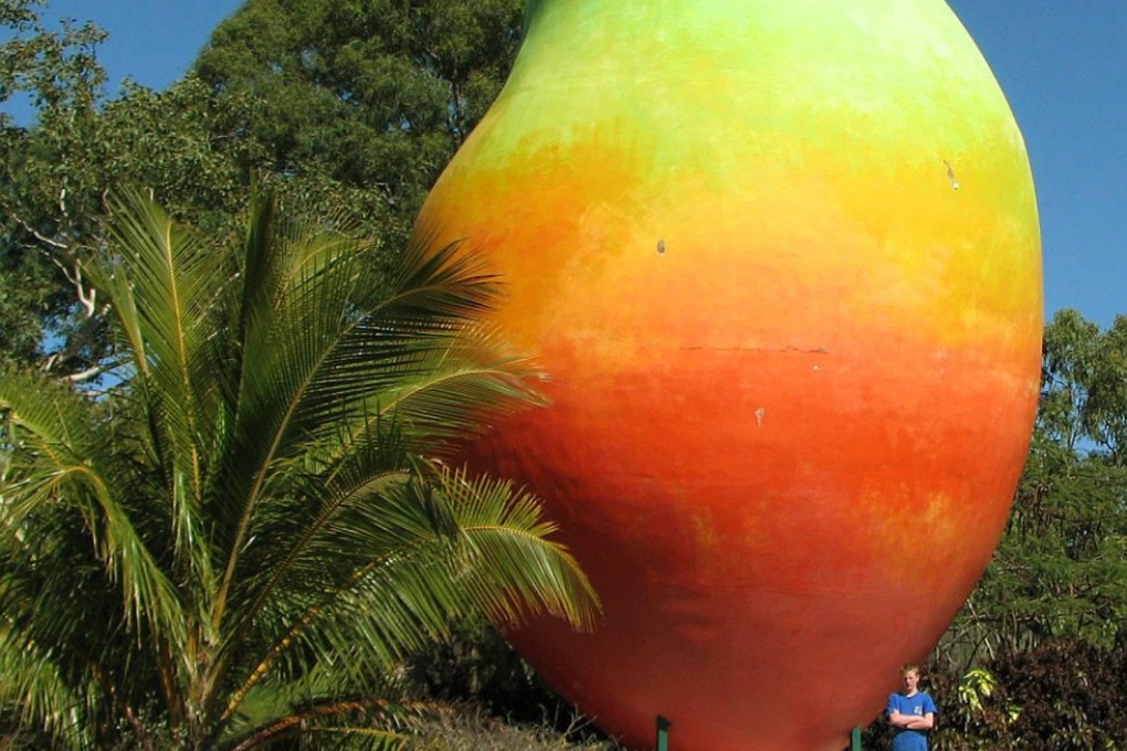 Lost' Big Mango found in Australia | South China Morning Post Lost' Big Mango found in Australia | South China Morning Post