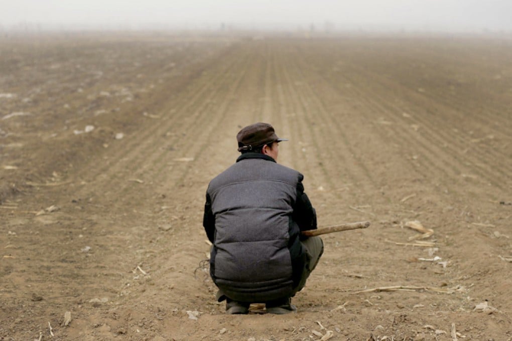 A wheat farmer in smog in Qianan, Hebei. Photo: Xinhua