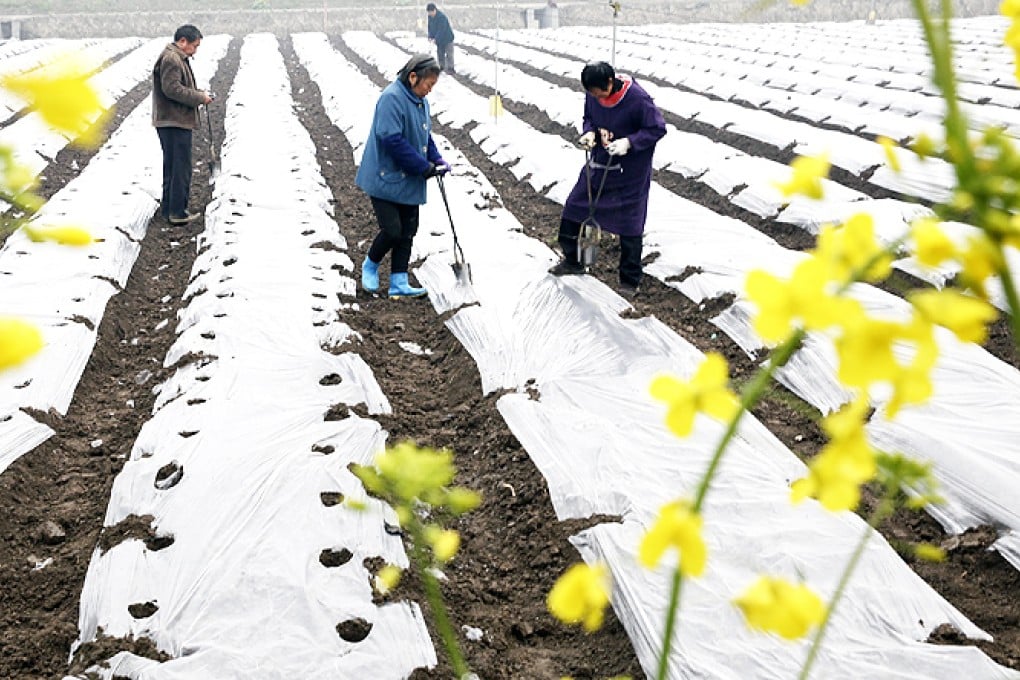 Beijing is trying to encourage rural families to stay in the countryside by boosting incomes in line with urban ones. Photo: Xinhua