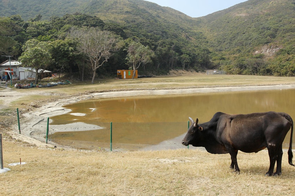 Sai Wan has been at the centre of a storm over its incorporation into a country park. Photo: Dickson Lee