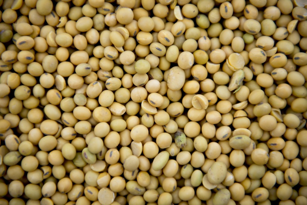 China is the world's top importer of soya beans and among the top importers of corn. Photo: Bloomberg