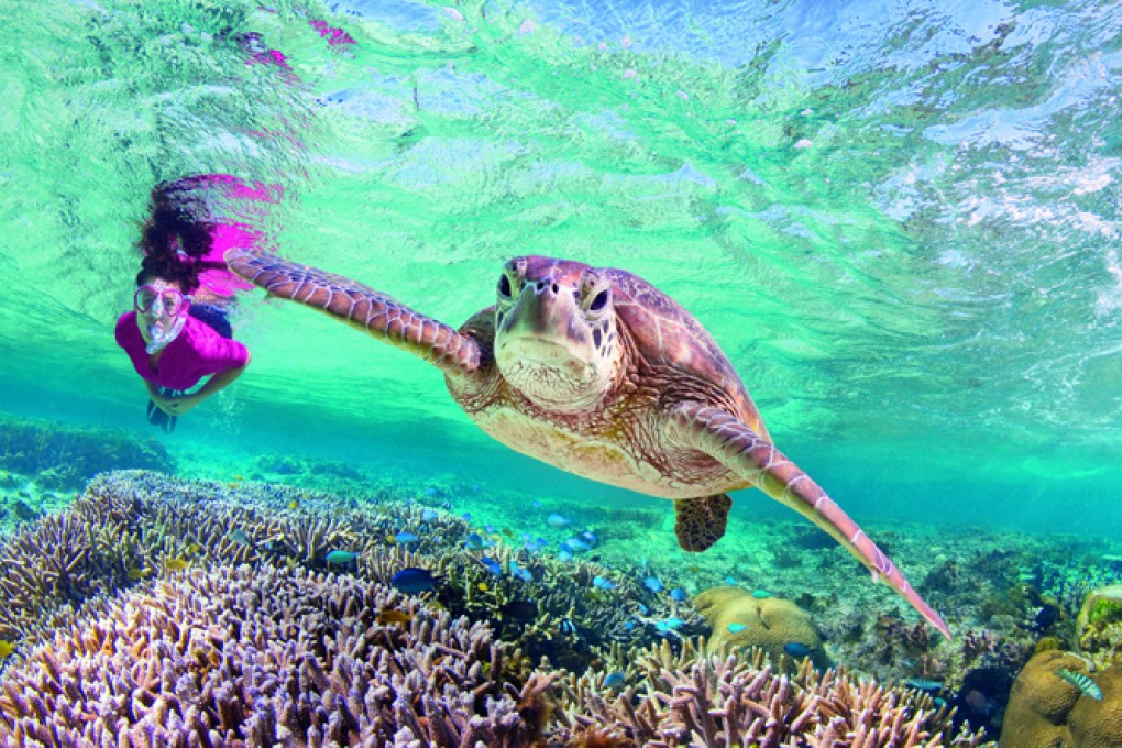 Rising sea temperatures and increased carbon dioxide in the ocean put marine life in the Great Barrier Reef at risk. Photo: Tourism Australia