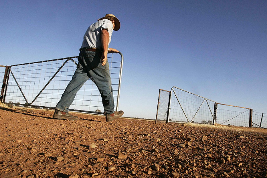 The state of Queensland in Australia is in the grip of its most widespread drought ever. Photo: Reuters
