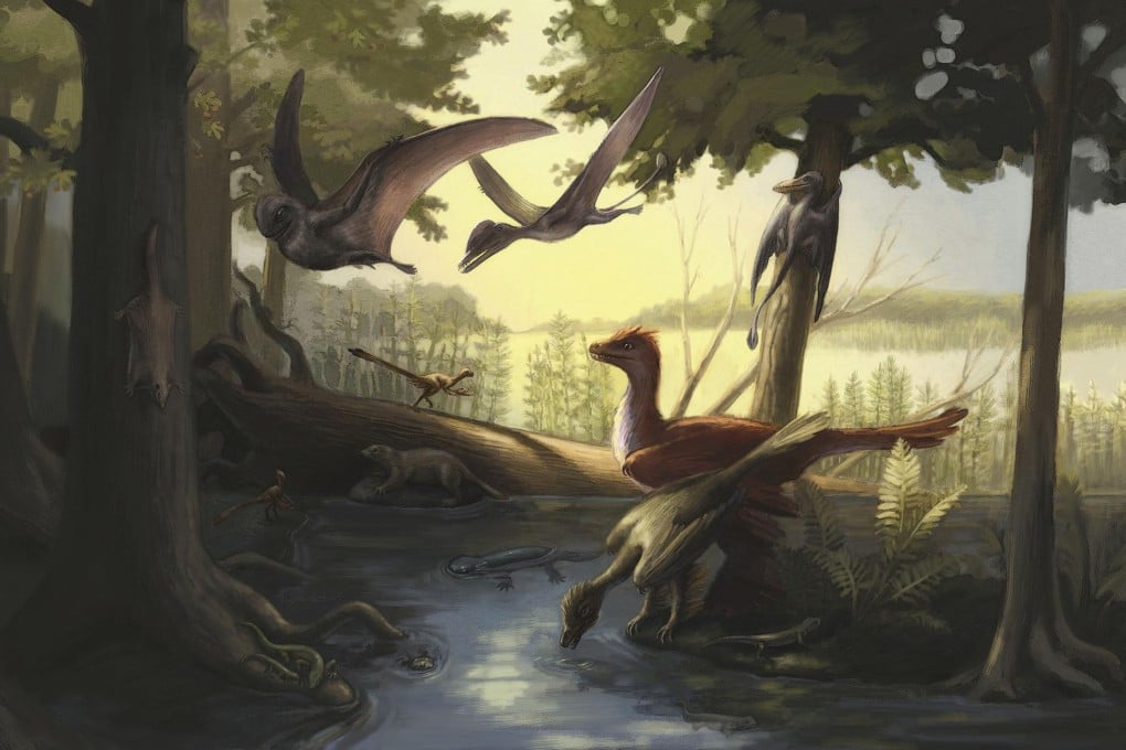 A reconstruction of the weird and wonderful Daohugou Biota creatures that roamed and flew around what today is northeastern China in the Jurassic Period. Photo: Reuters