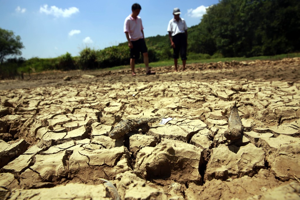 Villagers survey dead fish in a dried-up pond in Jiujiang , Jiangxi province, during a drought last year. Photo: Xinhua