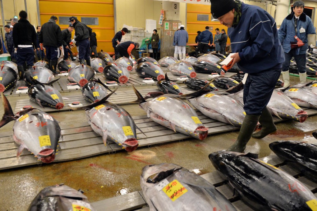 Stocks of bluefin tuna aged four or older in the Northern Pacific are estimated at 26,000 tonnes.