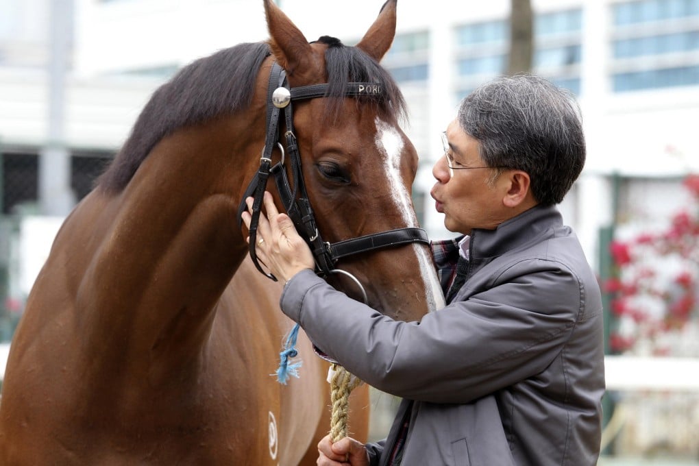 Horse owner Dr Gene Tsoi describes Mr Gnocchi as a gem - and hopes he can sparkle in Sunday's big race at Sha Tin. Photo: May Tse