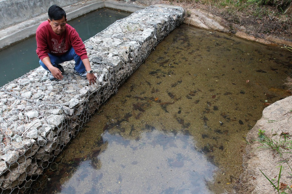Ho Shu-loy, who represents the villagers of Lantau's Tai Long village, shows where water is drawn into the tank which provides water for residents. Photo: Edward Wong