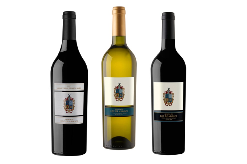 Wine tasting: Quinta de Foz de Arouce from Portugal