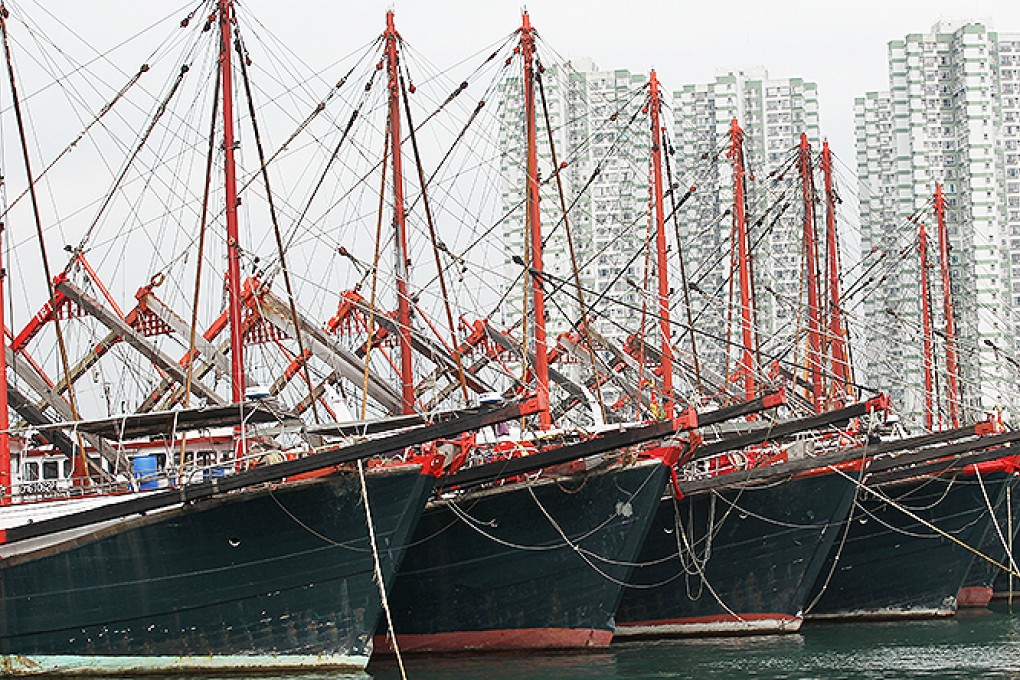 Fishing boats dock at Tuen Mun typhoon shelter. Photo: Edward Wong