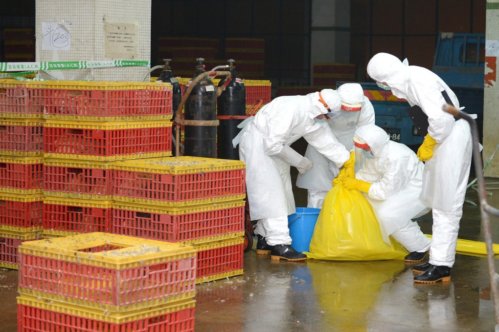 Quarantine workers sterilise the Nam Yue wholesale market in Macau last week after traces of H7N9 were found. Photo: Xinhua