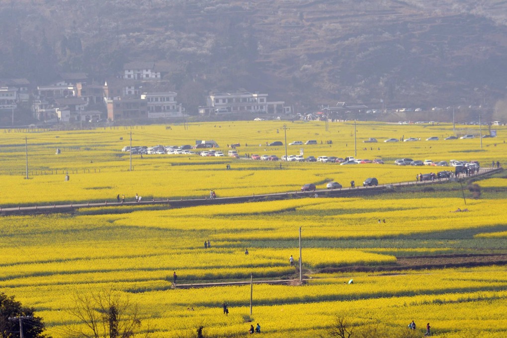 Flowers in Yinzhai Village of Guiding County, southwest China's Guizhou Province. Photo: Xinhua