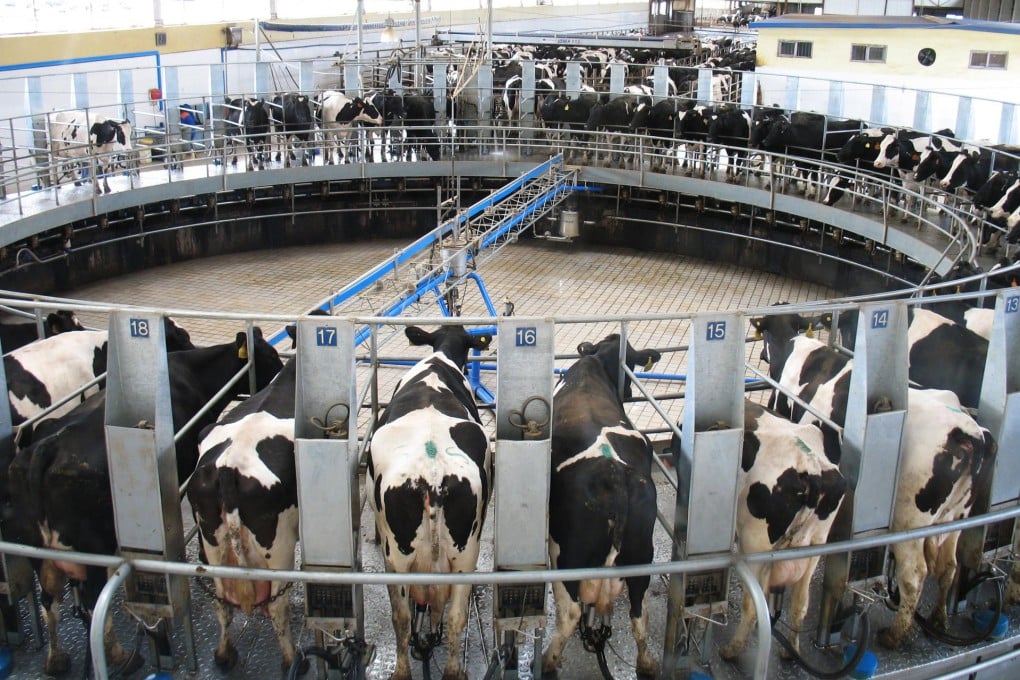 A Mengniu Dairy plant uses an imported computer-controlled production system. More such upgrades are on the way. Photo: SCMP