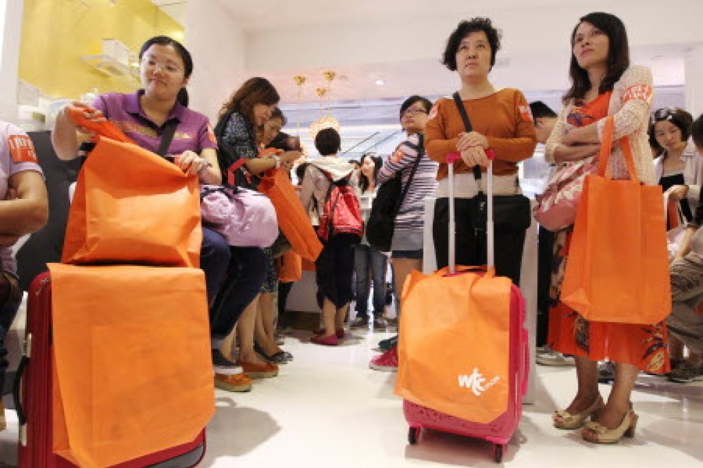 Public want controls on mainland visitors: poll