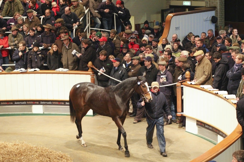 A kingdom for a horse