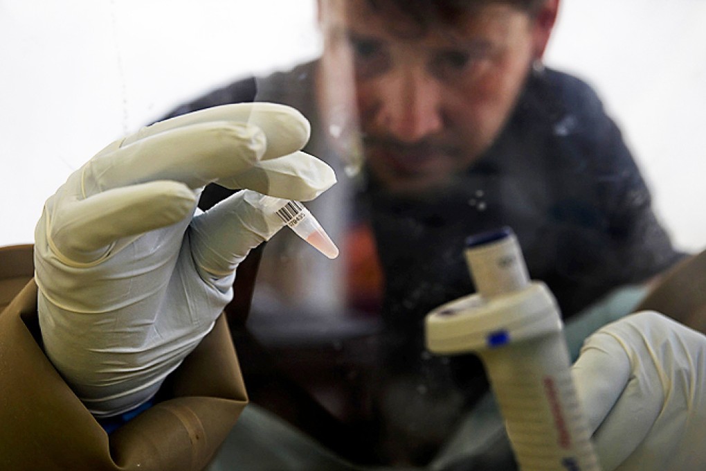 A scientist separates cells in order to test for the Ebola virus at the European Mobile Laboratory in Gueckedou, Guinea. Photo: Reuters