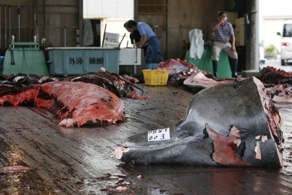 Workers rest after butchering a Baird's beaked whale at Wada port in Minamiboso, southeast of Tokyo. Photo: Reuters