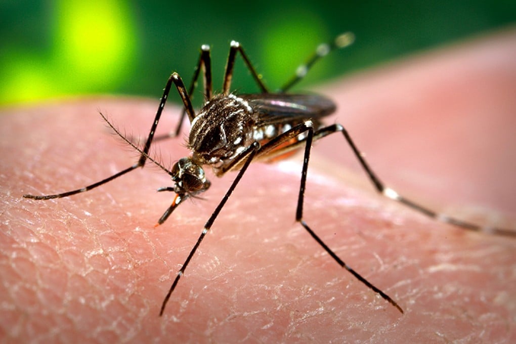 Dengue fever, a tropical disease spread by mosquito bites, has struck at an Australian refugee detention centre in the Pacific island nation of Nauru. Photo: AP