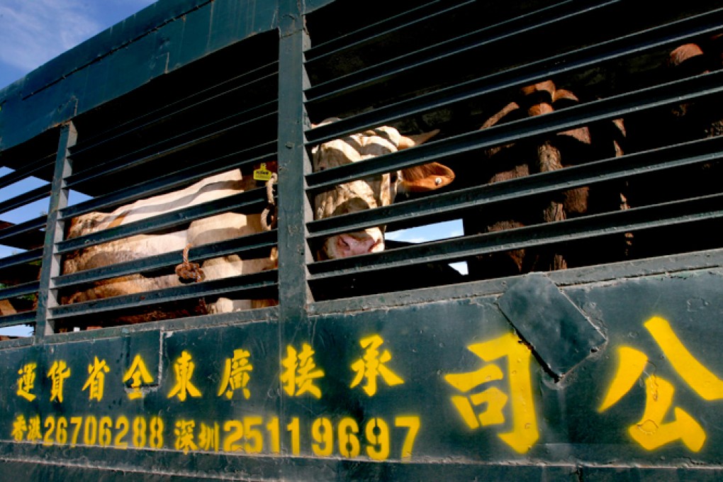 Some 20 countries export beef to Hong Kong at present.