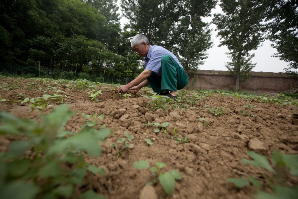 Soil pollution is threatening food safety. Photo: Bloomberg