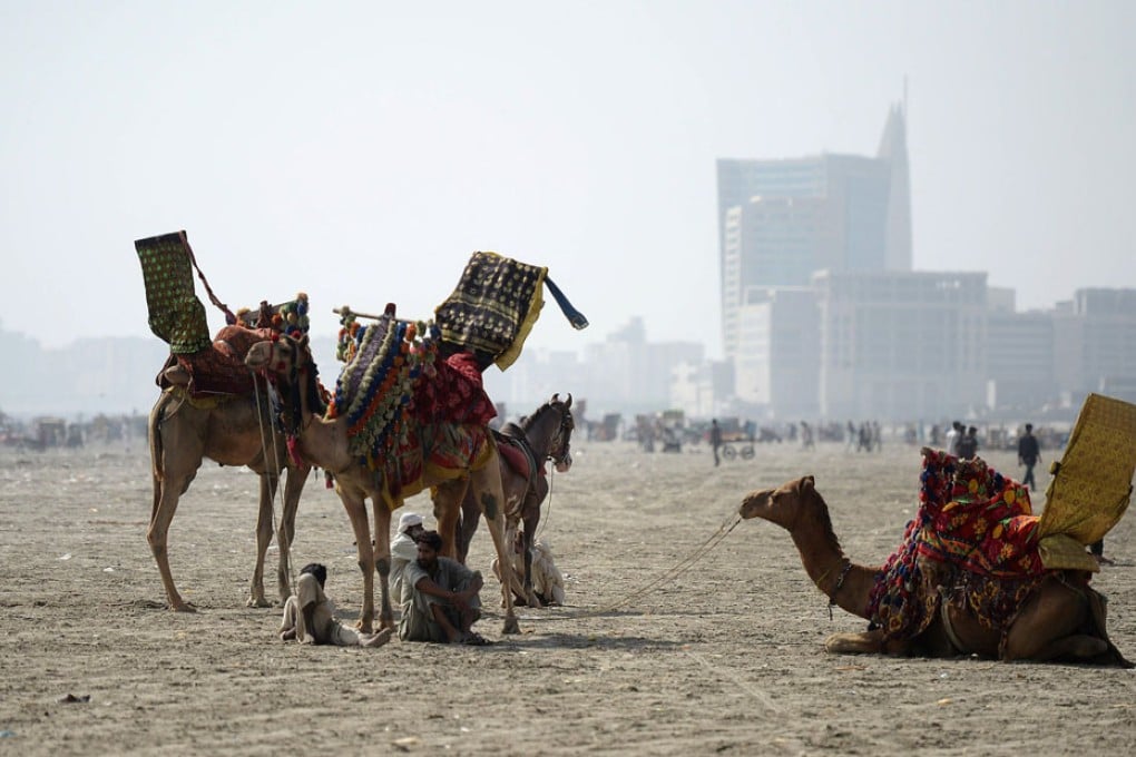 Camel rides 'risky' as Middle East respiratory syndrome spreads