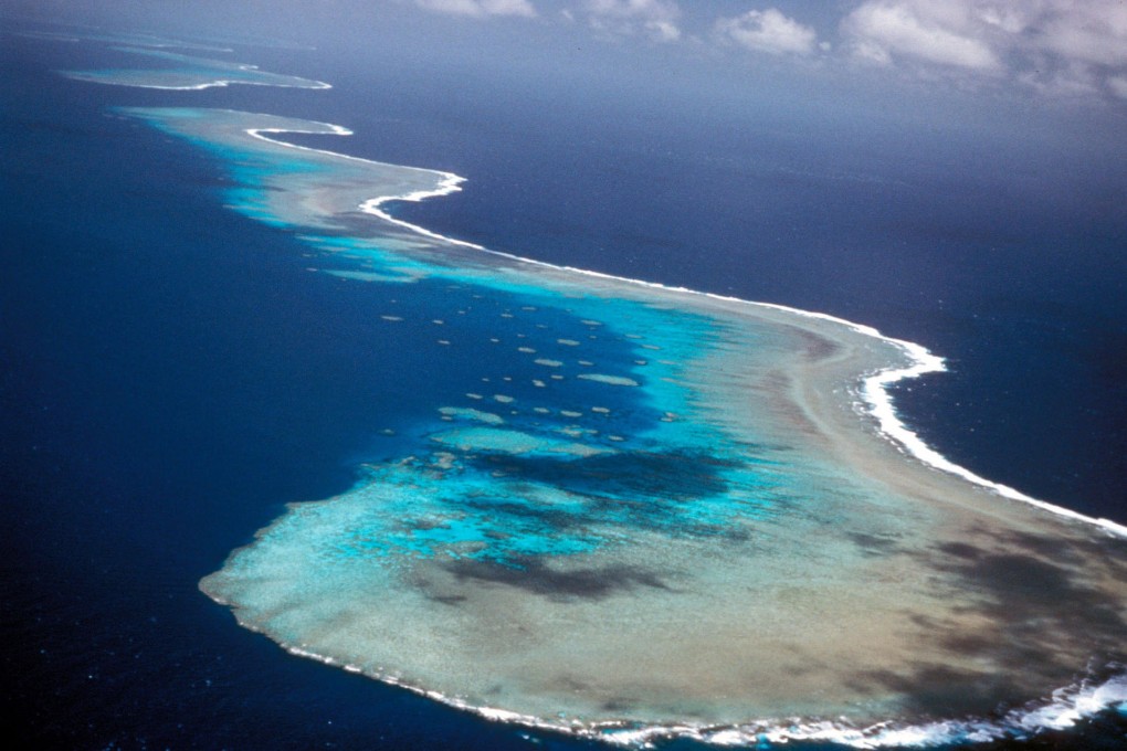 Unesco and other organisations are pushing for more protections for the Great Barrier Reef, which is 2,300 kilometres long. Photo: Reuters