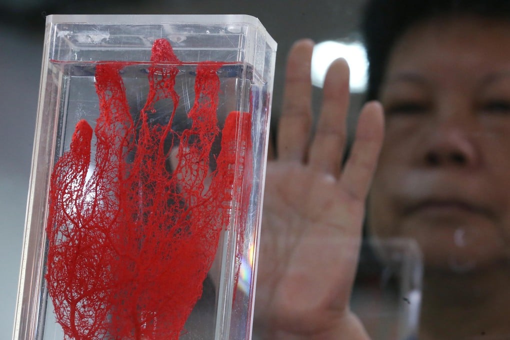 A visitor looks at blood vessels in a human hand that have been preserved using a technique known as plastination. Photo: Nora Tam