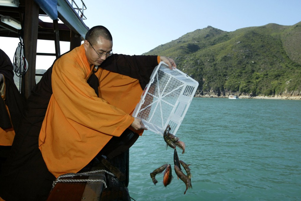 Buddhists who release fish into the sea in a show of compassion to mark Buddha's birthday may be doing more harm than good if they pick the wrong fish.