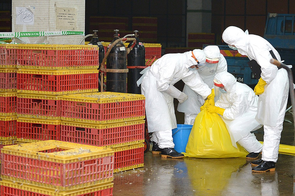 Quarantine workers sterilise a wholesale market in Macau after traces of H7N9 were found. Photo: Xinhua