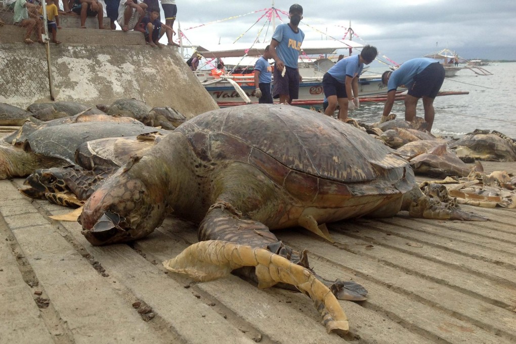 Filipino police unload turtle carcasses seized from alleged poachers. Photo: EPA
