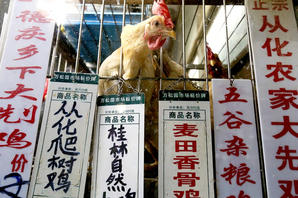 Guangzhou city government has imposed a ban on the sales of live poultry in 82 wet markets.